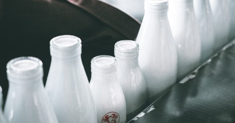 Milk alternatives: in the battle dairy vs plant, which is best for us and the planet?