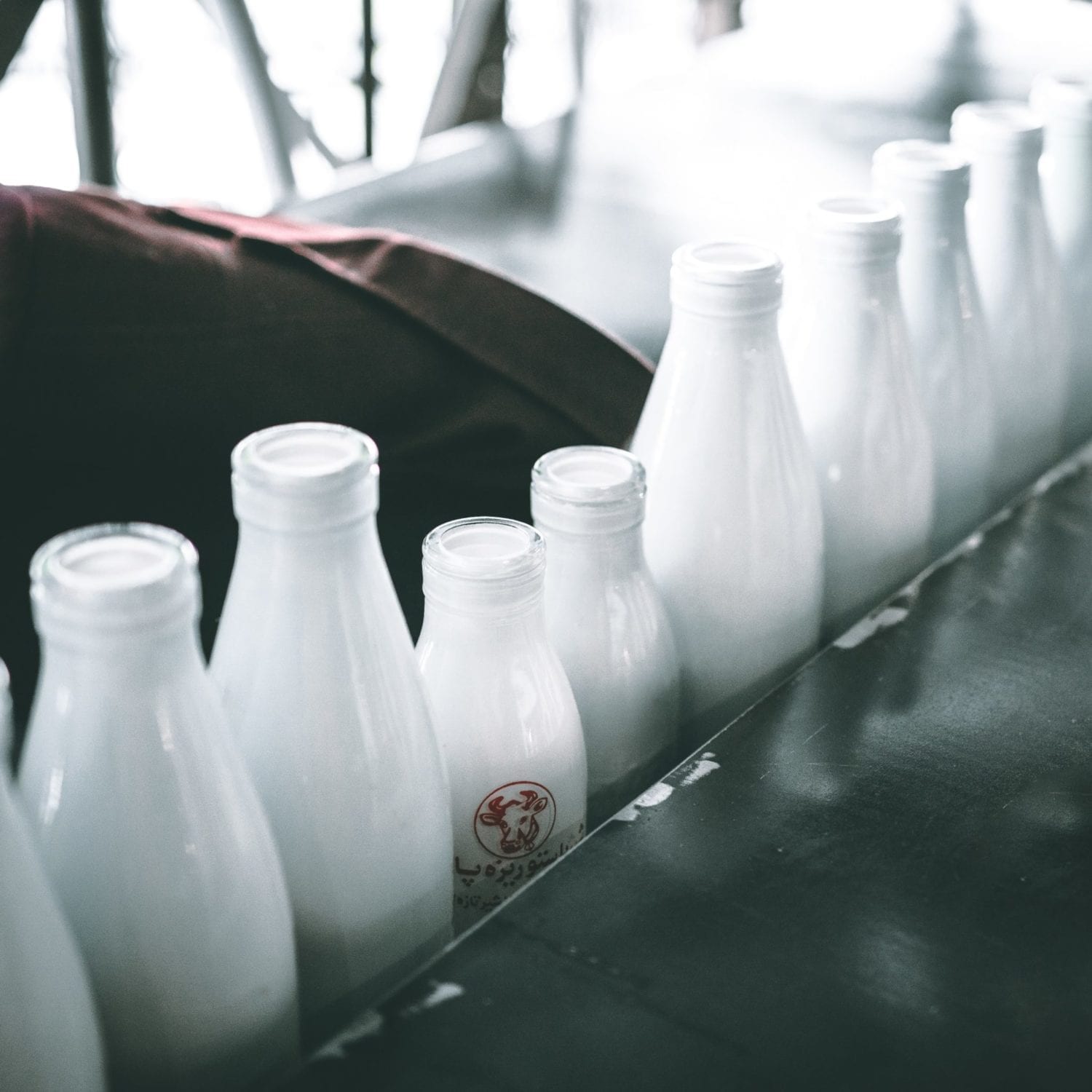 Milk alternatives: in the battle dairy vs plant, which is best for us and the planet?